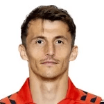 Photo of Ante Budimir