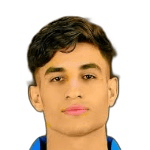 Photo of Mohamed Zidan
